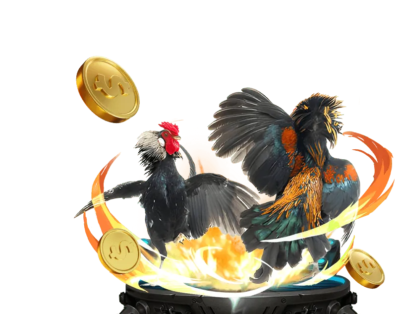 Tổng quan nền tảng awin bet